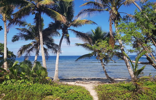 Fiji Lodge Vosa Ni Ua - Photo 30