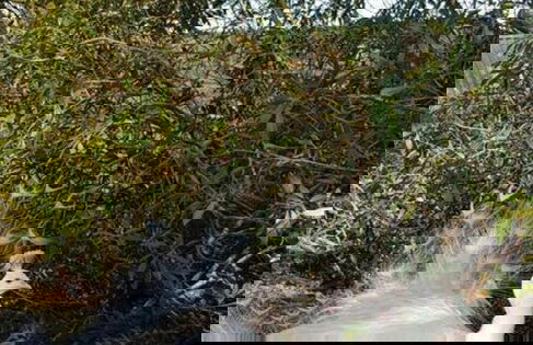 Davy Cottage in the Countryside With Horse Riding - Photo 18