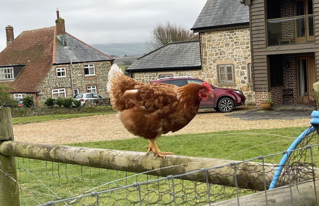 Surf Shack, 1-bed Cottage, Sleeps 2, Pet Friendly - Foto 1