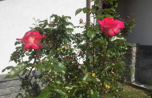 Villetta "Il Grillo" - Foto 22