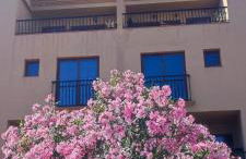 Casa Banana Sunset - Foto 10