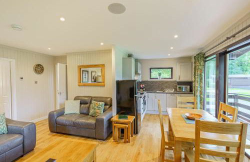Birch Lodge 21 With Hot Tub, Newton Stewart - Foto 20