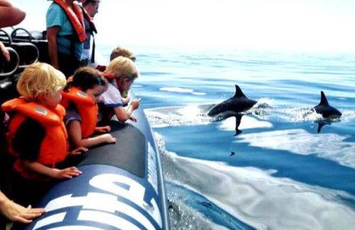 WOW Front Beach View, 150 m to Beach, WIFI - Foto 51