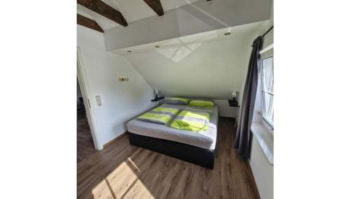 woolly prospects - Foto 4, Other