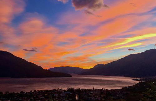 Villa delle Olive - Photo 4