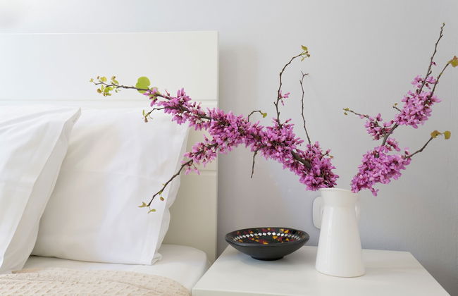 Andreas Hideaway Palaiokastritsa - Foto 4