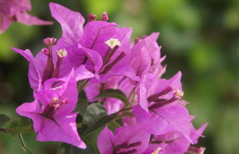 Robert Christopher Börner - Foto 21