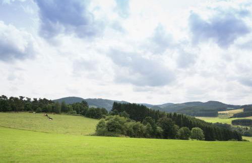 Ferienhaus in Hessen mit Grossem Garten - Foto 17
