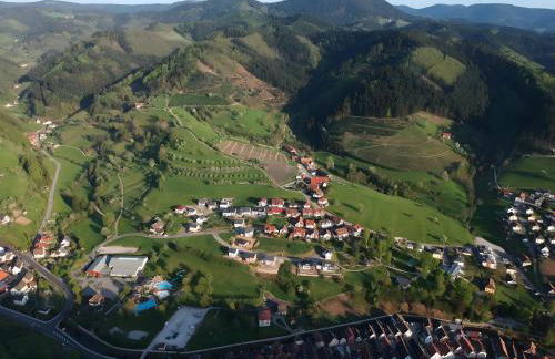 Ferienwohnungen Beilerstädtle - Foto 15