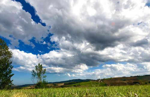 Ritorno alla Natura - Foto 49