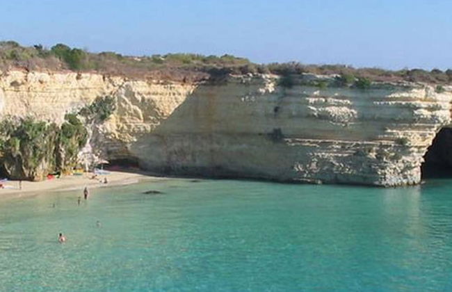 Vigne Vecchie - Foto 71