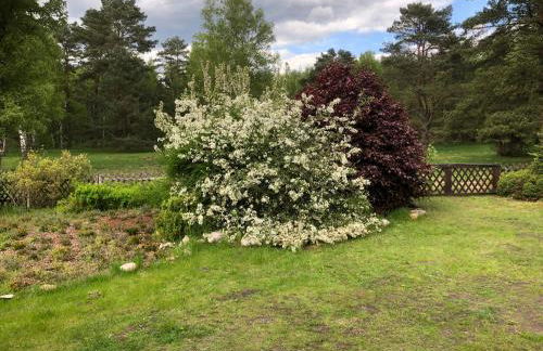 Landhaus mitten in der Lüneburger Heide - Foto 27