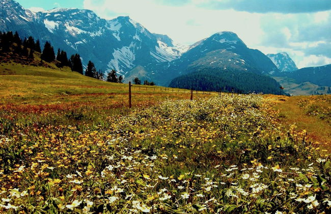 Chalet Weitblick - Foto 14