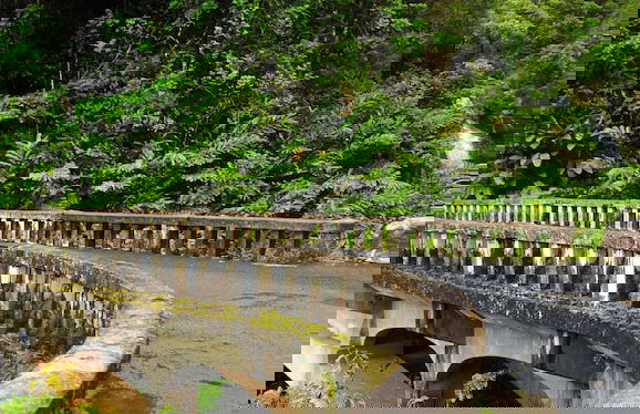 Royal Kahana 104 - Foto 98