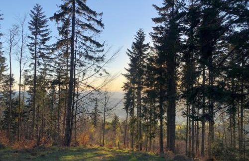 Stodoła 55 - Foto 62