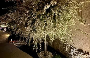 Holiday - Therapy - Foto 39