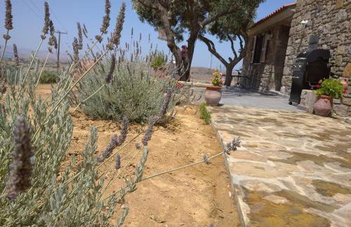 Paliokaliva Home - Foto 24