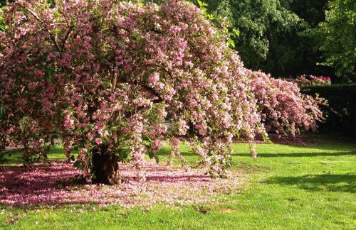 Baita Sorriso - Foto 50