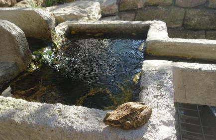 Café Landart im Thüringer Finistère - Foto 13