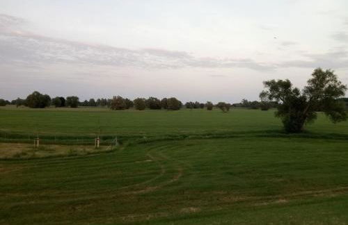 Forsthaus Nicolai - Foto 57