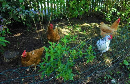 FeWo Spitzweg, Garlstorf - Lüneburger Heide - Foto 14