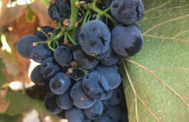 Acropole Algarve Beach Apartment - Foto 49