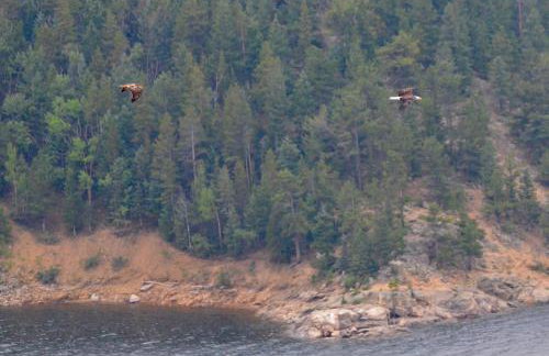 Timberline Haus Home - Foto 24