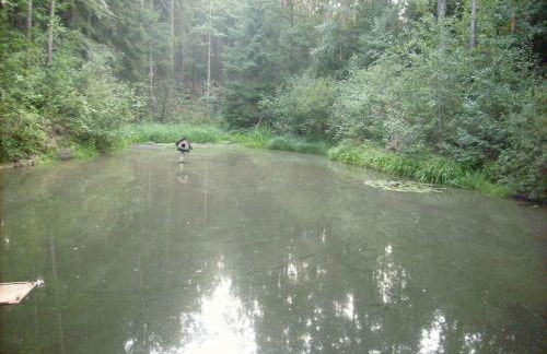 Apartment in Rabenau 3121 - Foto 13