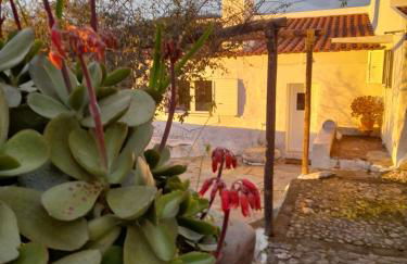 Olive -Casa da Boavista - Foto 1