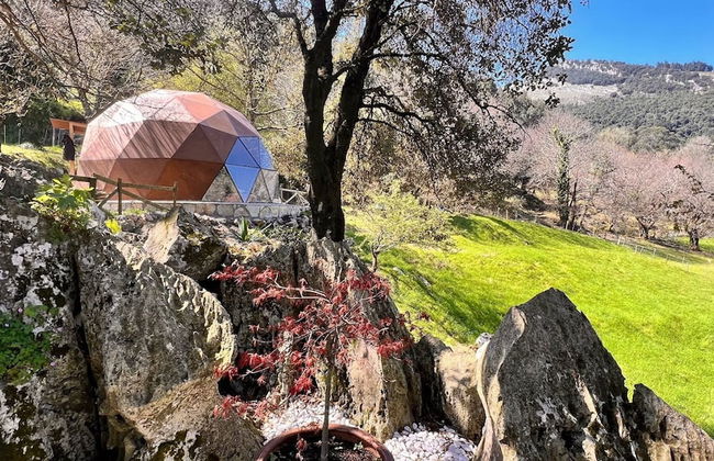 Domocantabria - Foto 30