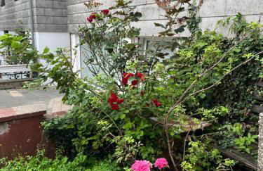 Hanse Bremerhavener - Foto 25