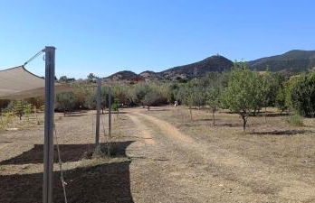 Sa Teria Village - Appartamenti - - Foto 35