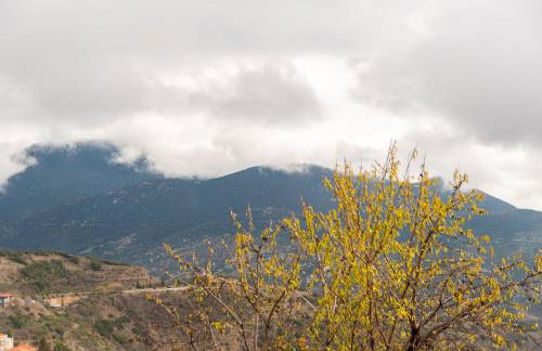 Agiaz Cozy Apartments Arachova - Foto 23