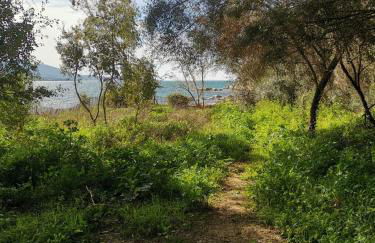 Appartement à 2 pas de la plage - Foto 23