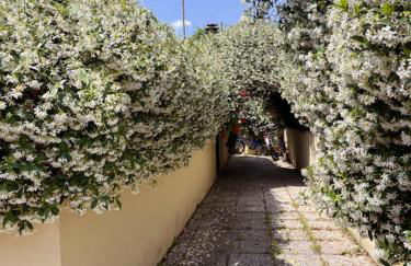 Leda's Home - Foto 38