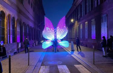 Le Cocon du lion - Foto 29