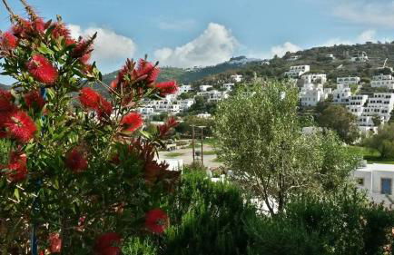 Yvonni Studios - Foto 42