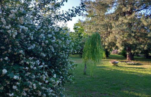 La Casa di Gio ed Eli - Foto 79