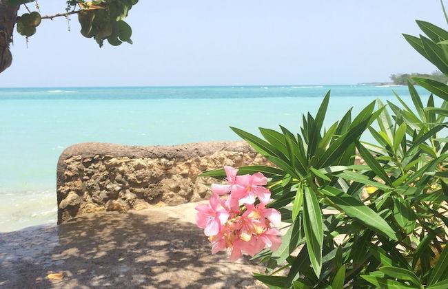 Little Bay Cabins - Foto 32