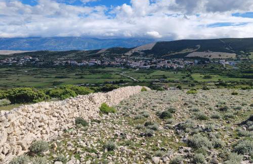 Izzi Mobile Home - Terra Park SpiritoS - Photo 36