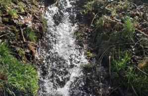 RELAX CHALET Nature Retreat - isolé sur 3 hectares - confort de LUXE - maison entière 150m2 - près de La Bresse - Foto 50