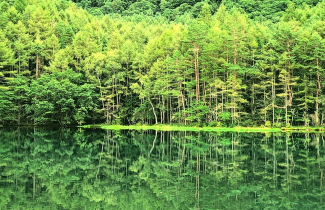 Tateshina Wanwan Paradise Cottage - Foto 33