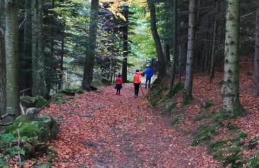 Gîte cosy, rando, vélo, au coeur de la nature, Cozy cottage, quiet nature, bike hiking - Foto 11