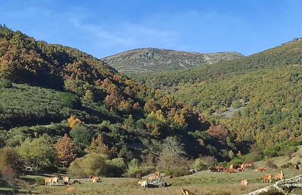 Abuela Carmen - Foto 32