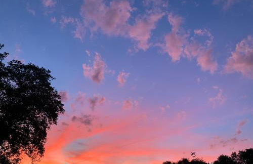 L'oriere des Bois - Foto 43