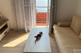 Apartments Anica - Foto 50