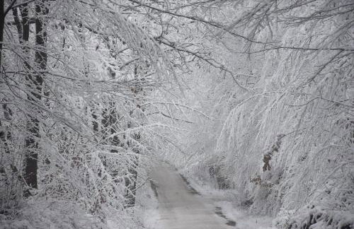 Lesne Domki VIP - Foto 49