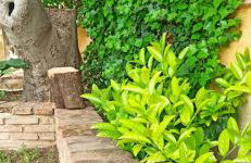 Mozart House Studio - Foto 66