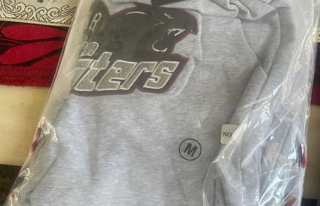 New Spacious 4 Bed Apartment in Kew Bridge - Foto 29