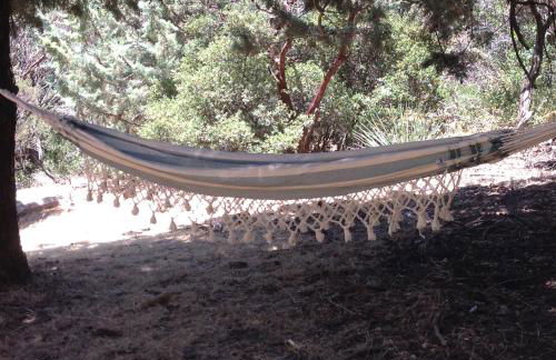 Time Traveler Retreat - Foto 33